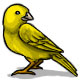 Tweety Bird the Canary