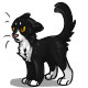 Tinsel the Mean Black and White Cat