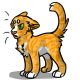 Fireheart the Mean Orange Tabby Cat