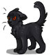 Hiili the Scary Black Cat