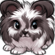 Piebald Angora