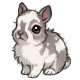 Bumble the A Wittle Grey Pied Bunny