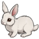 Energizer the A Fluffy Wuffy White Bunny