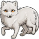 Hógolyó the Arctic Fox