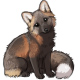 Ryan the Cross Fox