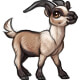 Basil the French Alpine Goat
