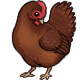 Rhode Island Red Hen