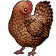 Cluck Noris the Golden Laced Wyandotte Hen