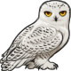 Soren the Snowy Owl