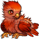 Ruby the Phoenix Chick