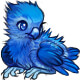 Frost the Icy Phoenix Chick
