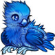 Icicle the Icy Phoenix Chick