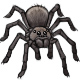 Arachne the Friendly Spider