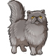 Smokey the Grey Persian