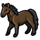 Totilas the Little Brown Pony