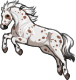 Marshall the Bold Spotted Pony